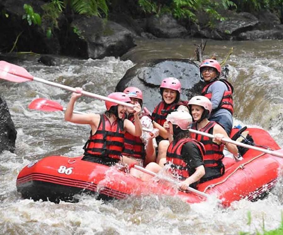 Ayung River Rafting Bali - Activities